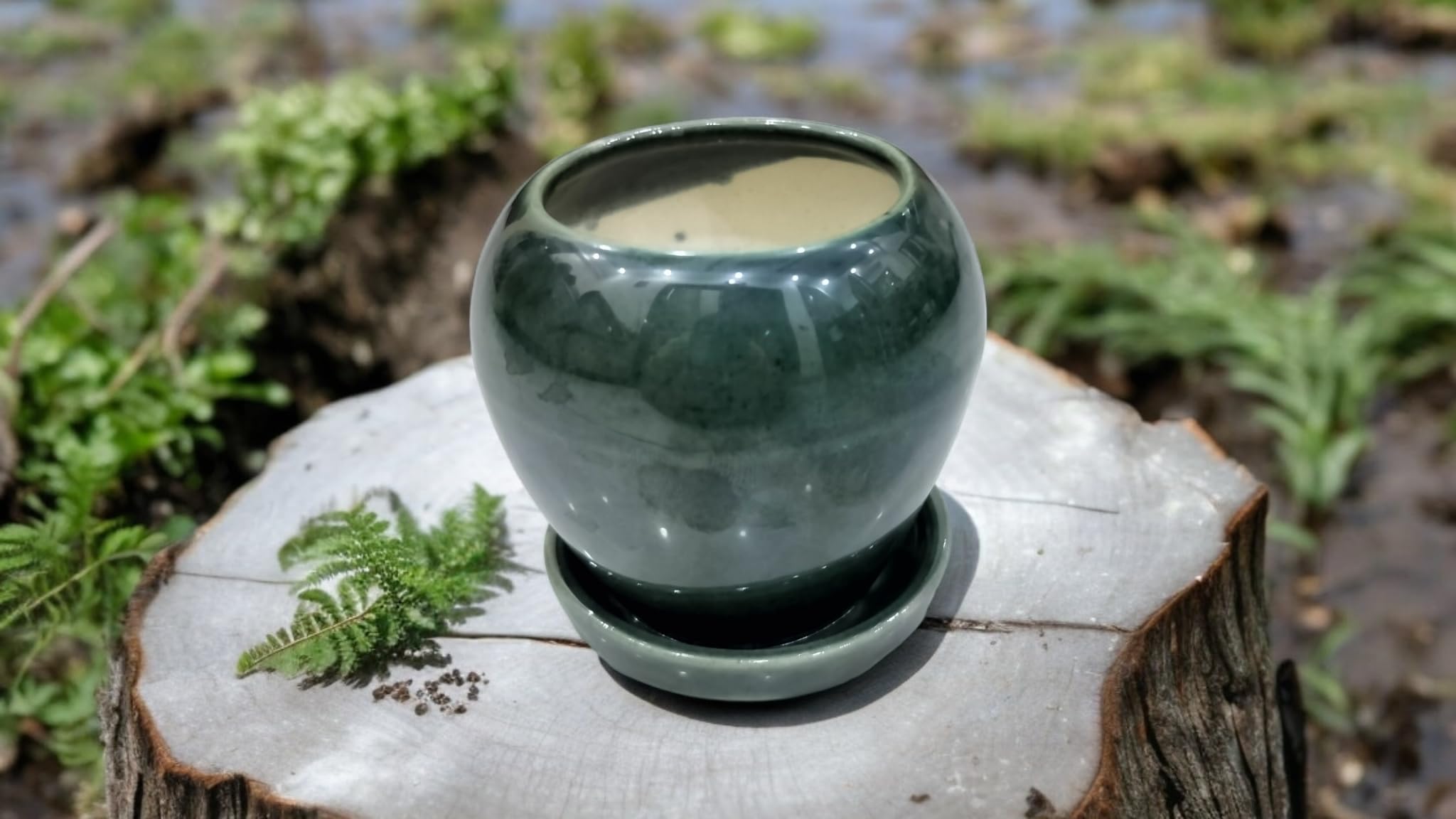 Goodies House Mini Pot with Plate Shaped Ceramic Pot|for Home Decor and Gifting, Decorative Flower Pot for Office, Garden, Hotel Restaurant Decor,Living Room, Indoor and Outdoors Ceramic (Set of 1) (B0D6KJ9L9J) Amazon Price History, Amazon Price Tracker