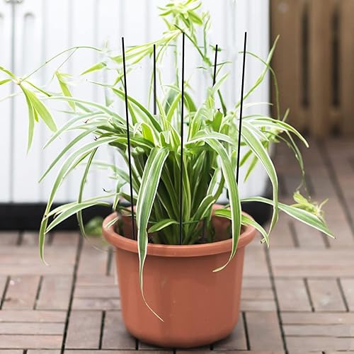 Miniatura 3 de FAKILO Varilla de fibra de carbono de 0.039 x 16.535 in - Varillas de fibra de carbono 100% mate, paquete de 10 para avión RC, esqueleto de cometa