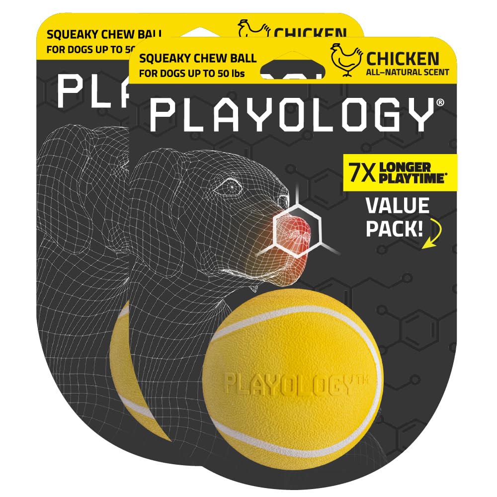 Balle couinante Playology au poulet pour chien moyen lot de 2 jouets à mâcher