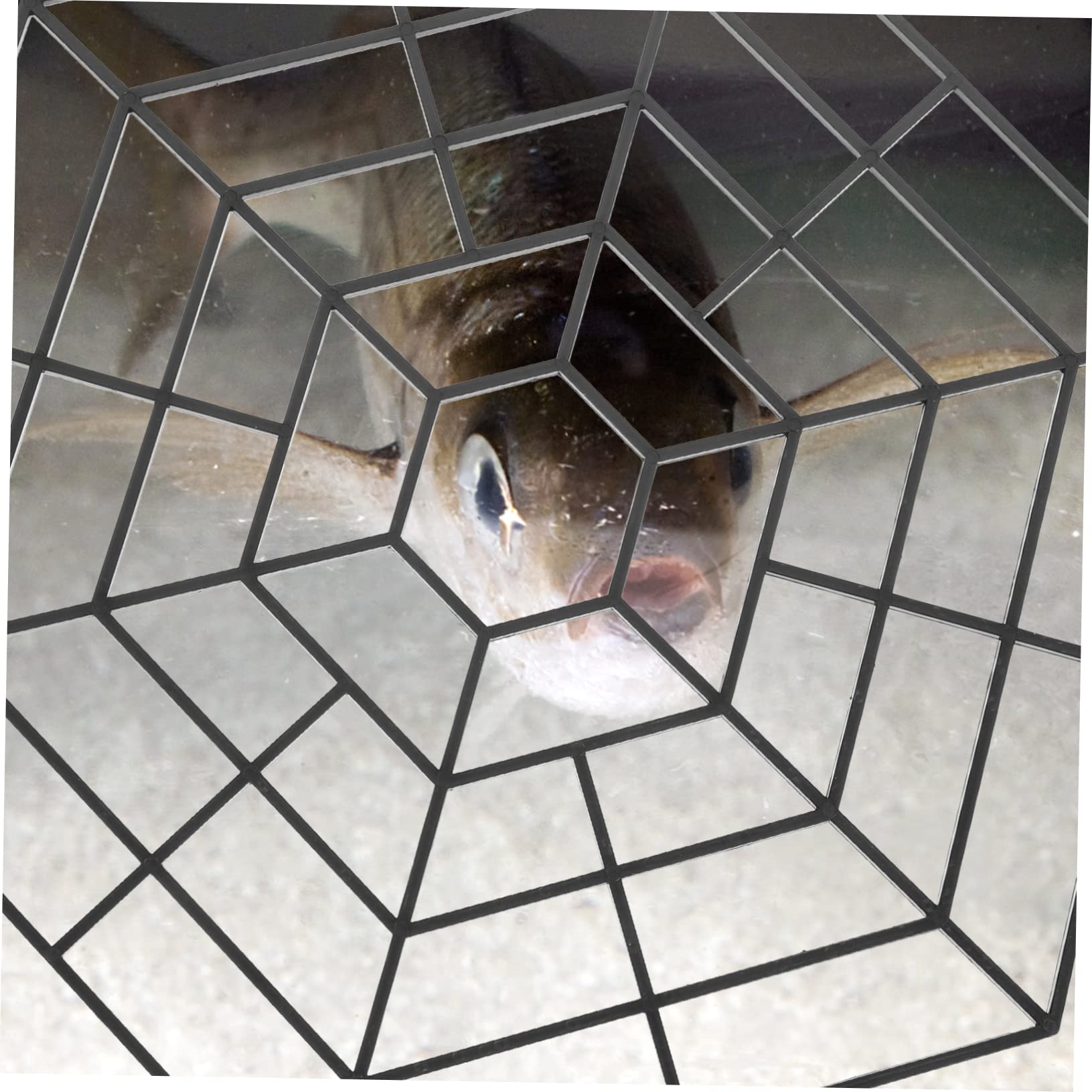 10piezas Protección para Peces De Ángulos Malla De Estanque Profesional De Peces De Plástico para Jardín Y Tienda