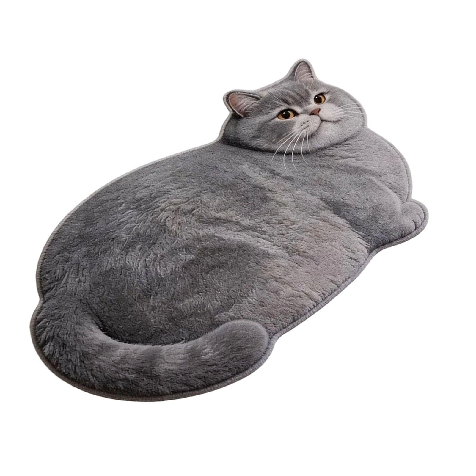 Tapis chat de sol absorbant lavable pour cuisine couloir et douche