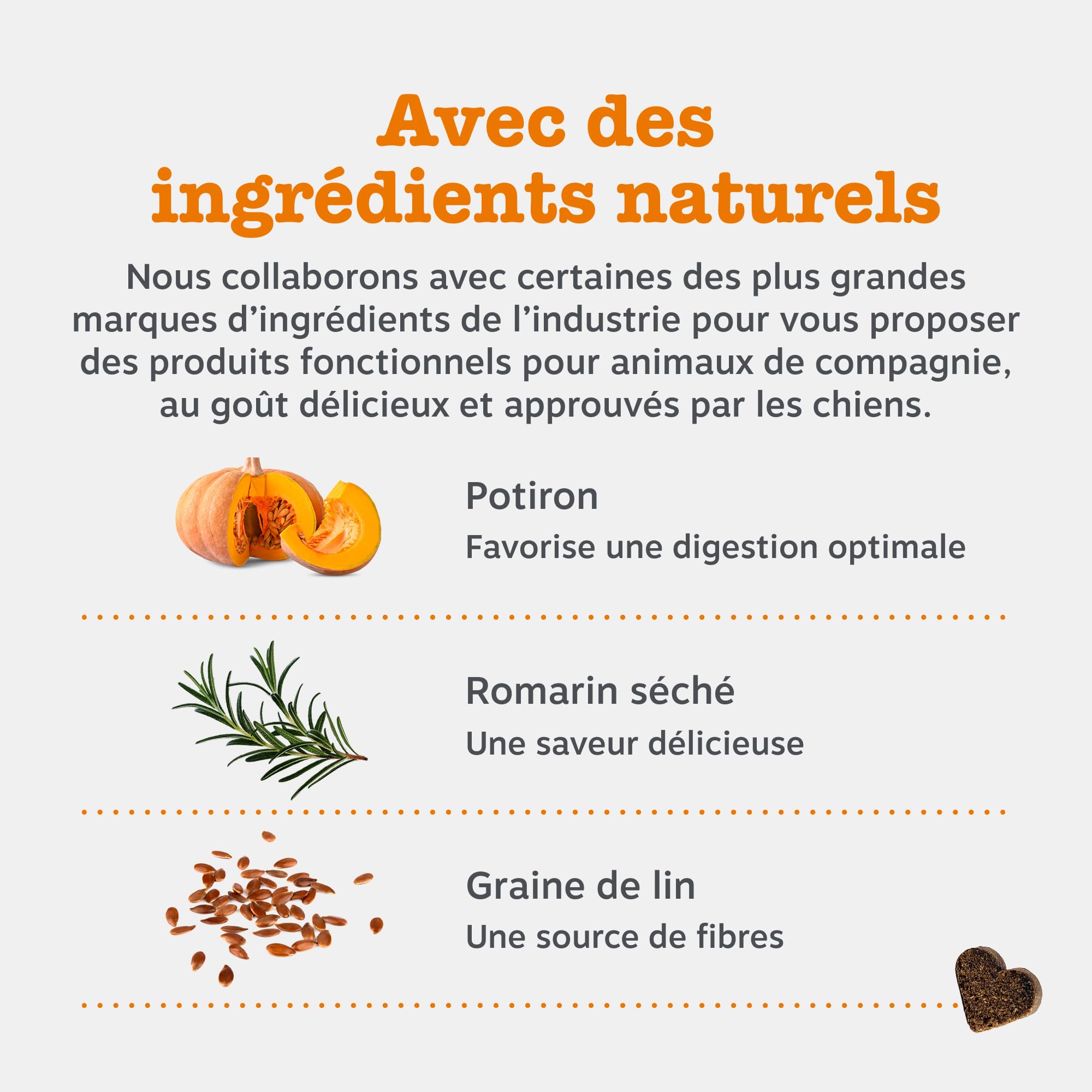 Zesty Paws Bouchées Probiotiques Chien | Supporte Digestion, Équilibre Intestinal, Système Immunitaire | Prébiotiques, Probiotiques, Postbiotiques | Usage Quotidien | 90 Bouchées