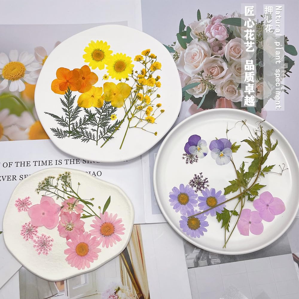 72 Piezas Flores Secas Naturales Mixtas Flores Secas Prensadas Kit de Hojas Secas Hierbas Naturales para Resina Álbumes de Recortes DIY Regalo Scrapbooking Joyas Uña Pendientes Arte
