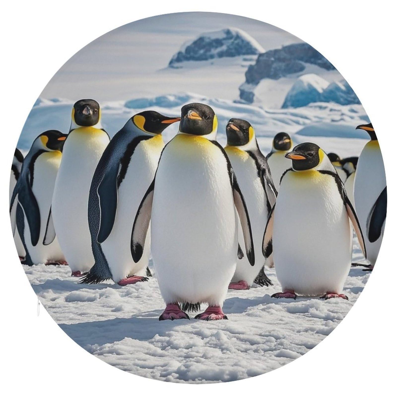 FekiLoot Cute Penguin Chair Cushion Round Memory Foam Seat Cushion Soft Circle Chair Pad with Removable Cover Fashion Decorative Stool Pad for Bedroom Sofa Kitchen Office 15.4" X 15.3"