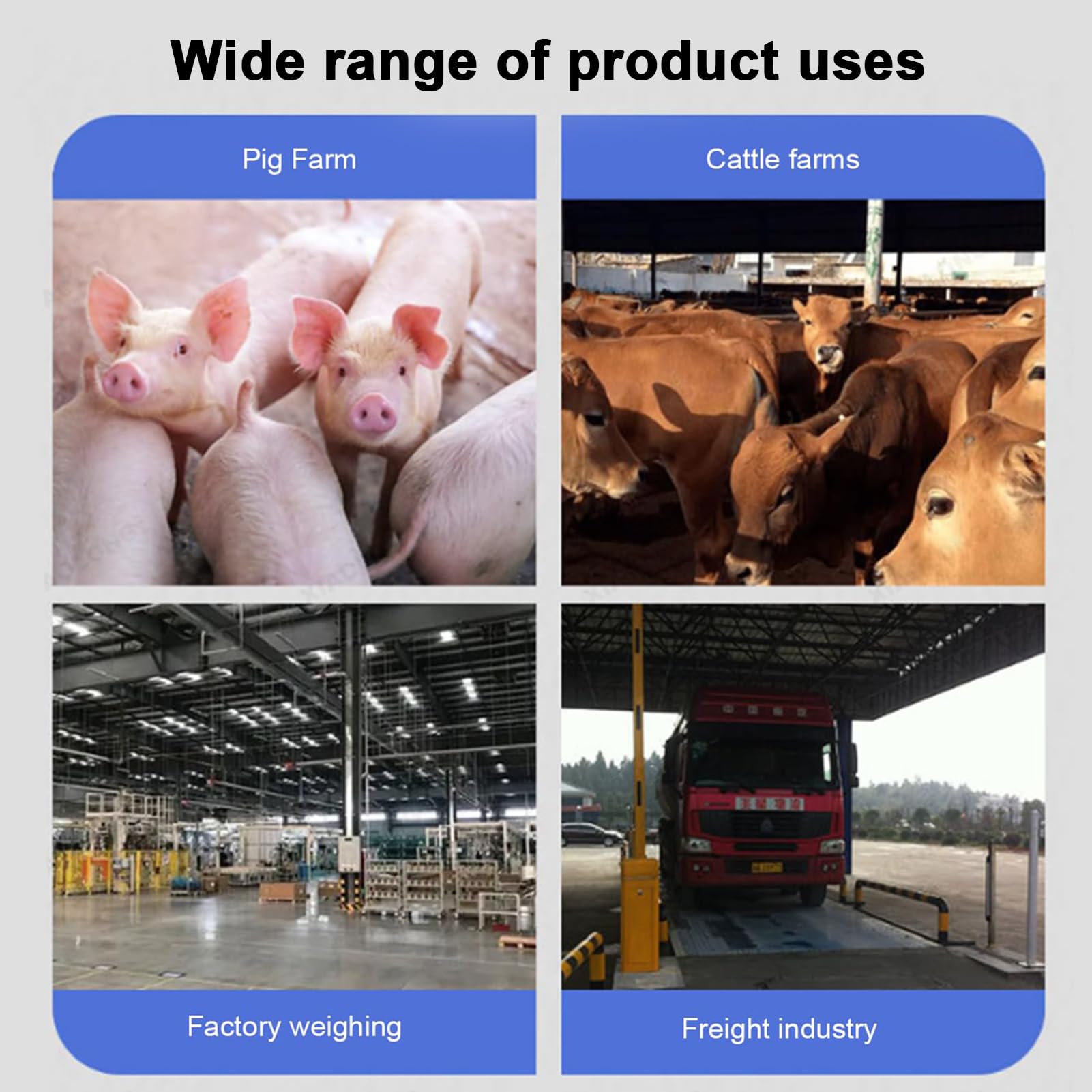 Kit de balance bétail, balance à cellule de charge avec indicateur de haute précision avec 4 capteurs et 1 boîte de jonction de fil, balances au sol pour bovins chèvres porcs chevaux moutons 2000KG