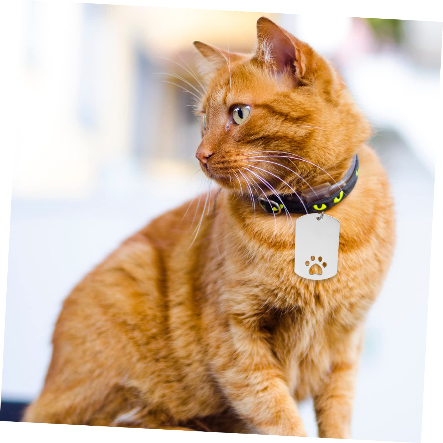 FRCOLOR 20pièces Étiquettes Identification Acier Forme De Patte Pour Chiens Et Médaille Personnalisable Pour Animaux De Compagnie Plaques à Graver