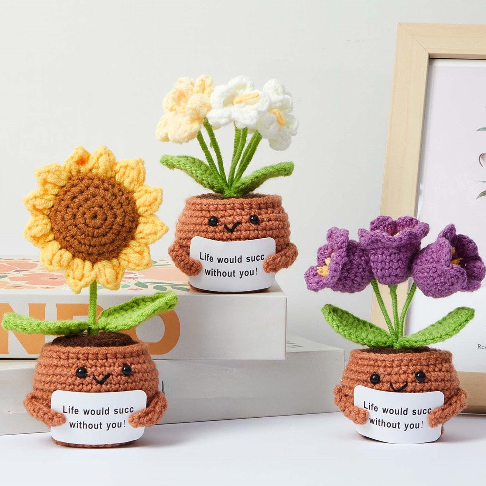 Amazon.com: SmoothNovelty 3 Pcs Knitted Potted Crochet Plants