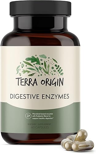 TERRA ORIGIN Enzimas digestivas con probióticos y prebióticos  60 cápsulas  Apoya la salud intestinal digestiva  Sin OMG, sin gluten, vegano  para