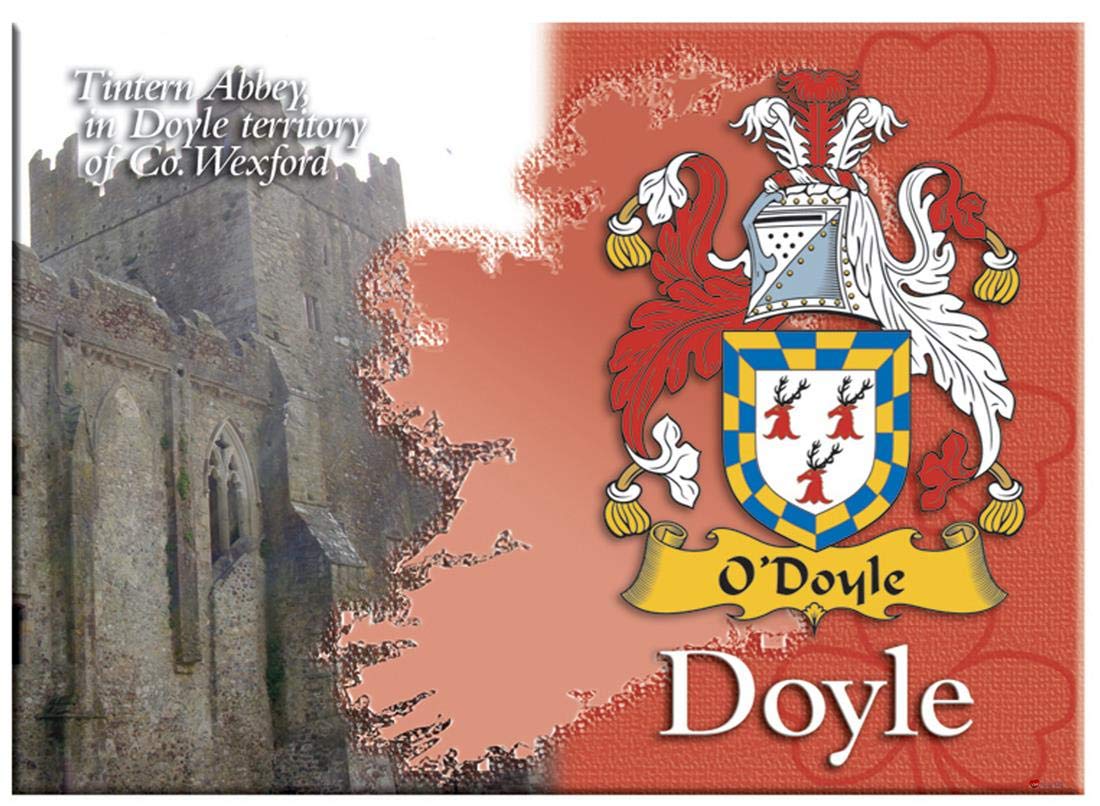 I Luv Ltd Doyle Irish Family Name Souvenir Metallic Picture Fridge Magnet