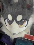 Review Image by Rabidplush