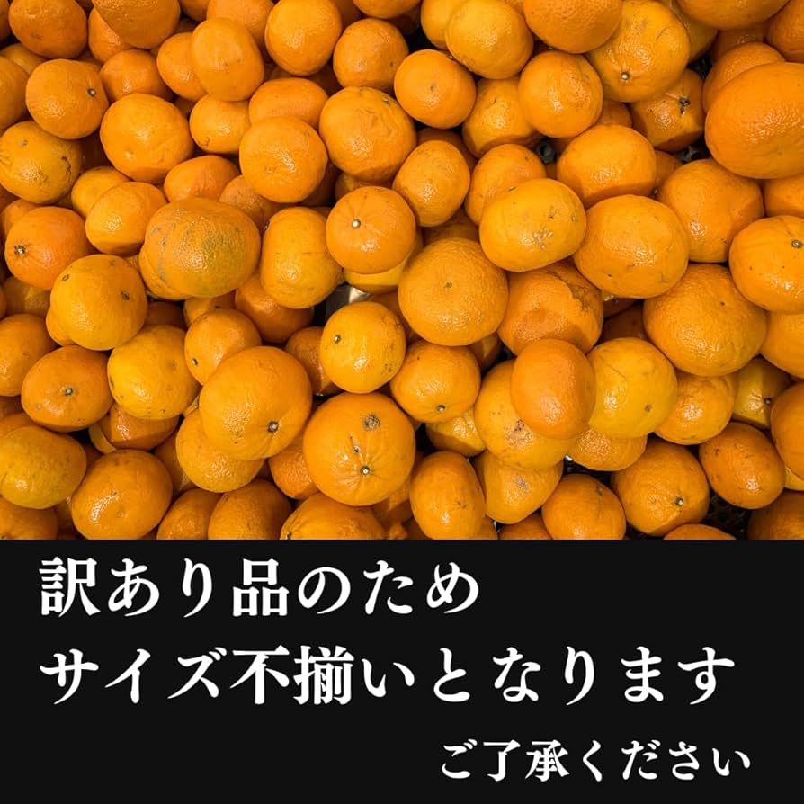 Amazon.co.jp: 【 糖度12度前後 】みかん (2キロ) 柑橘の匠 早生みかん
