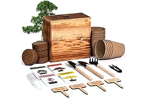 Garden Republic Bonsai Kit: Nurture a Verdant Miniature Forest in Your Abode