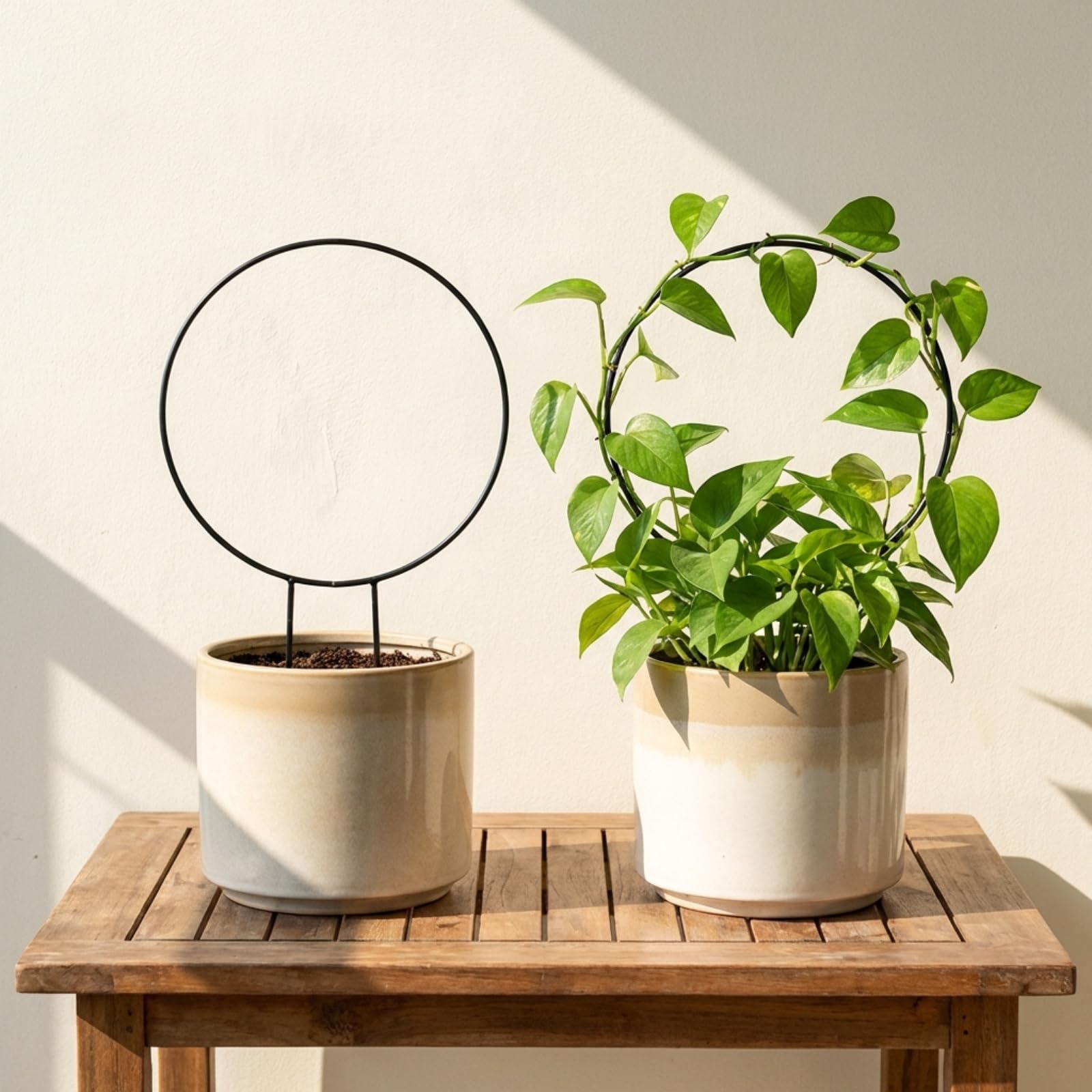 ecofynd Rust Free Vine Plant Metal Support Round Iron Garden Trellis for Climbing Plants (Black) - 2 Pack-picture-22