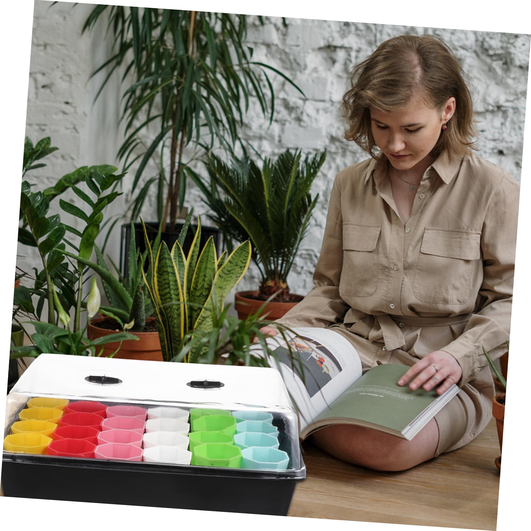TOYANDONA Plateau de Propagation pour Plantes avec Pot Inclus pour Culture de Semis et Micro-pousses