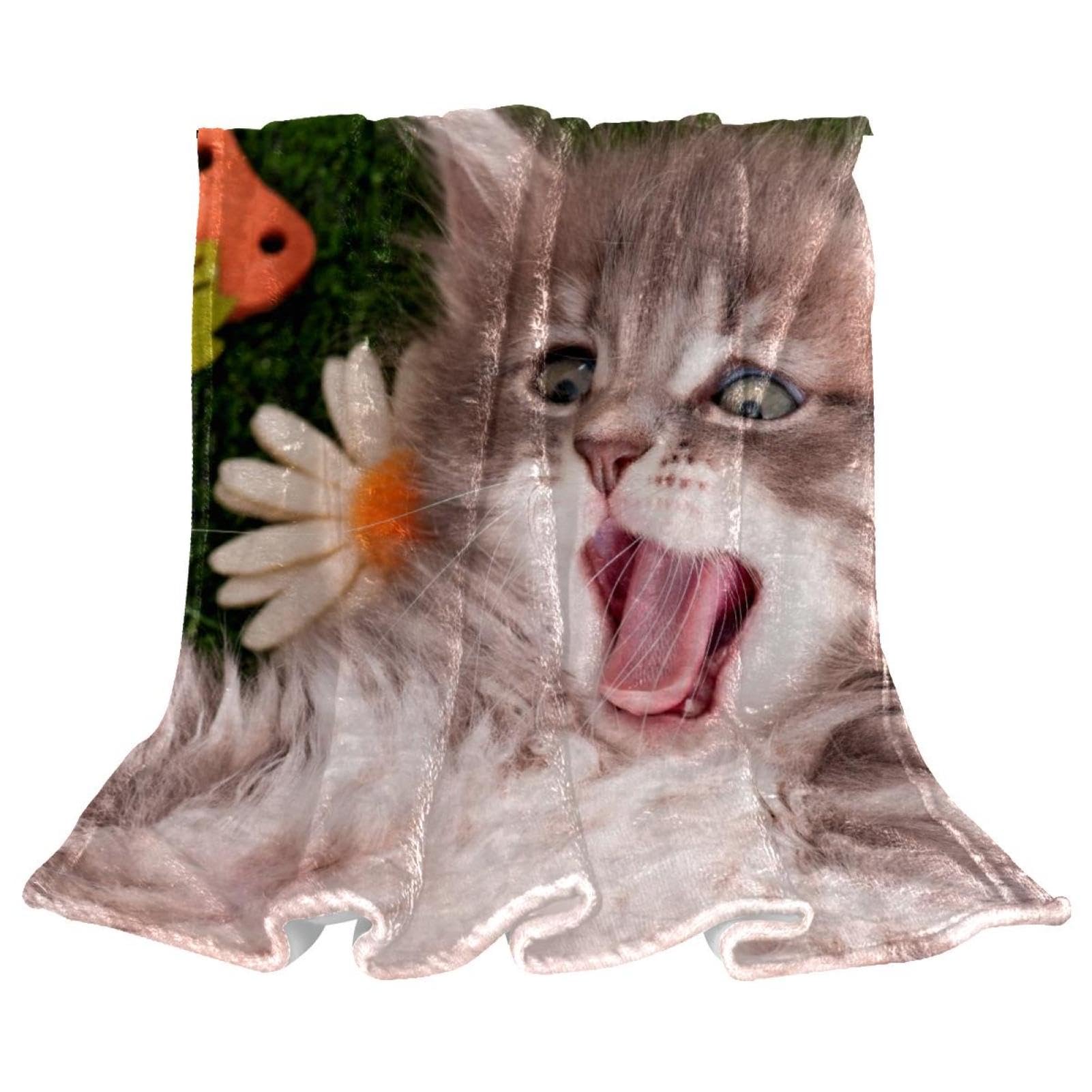 Couverture polaire chat mignon plaid microfibre chaude douce jeté de canapé 150x100cm salon