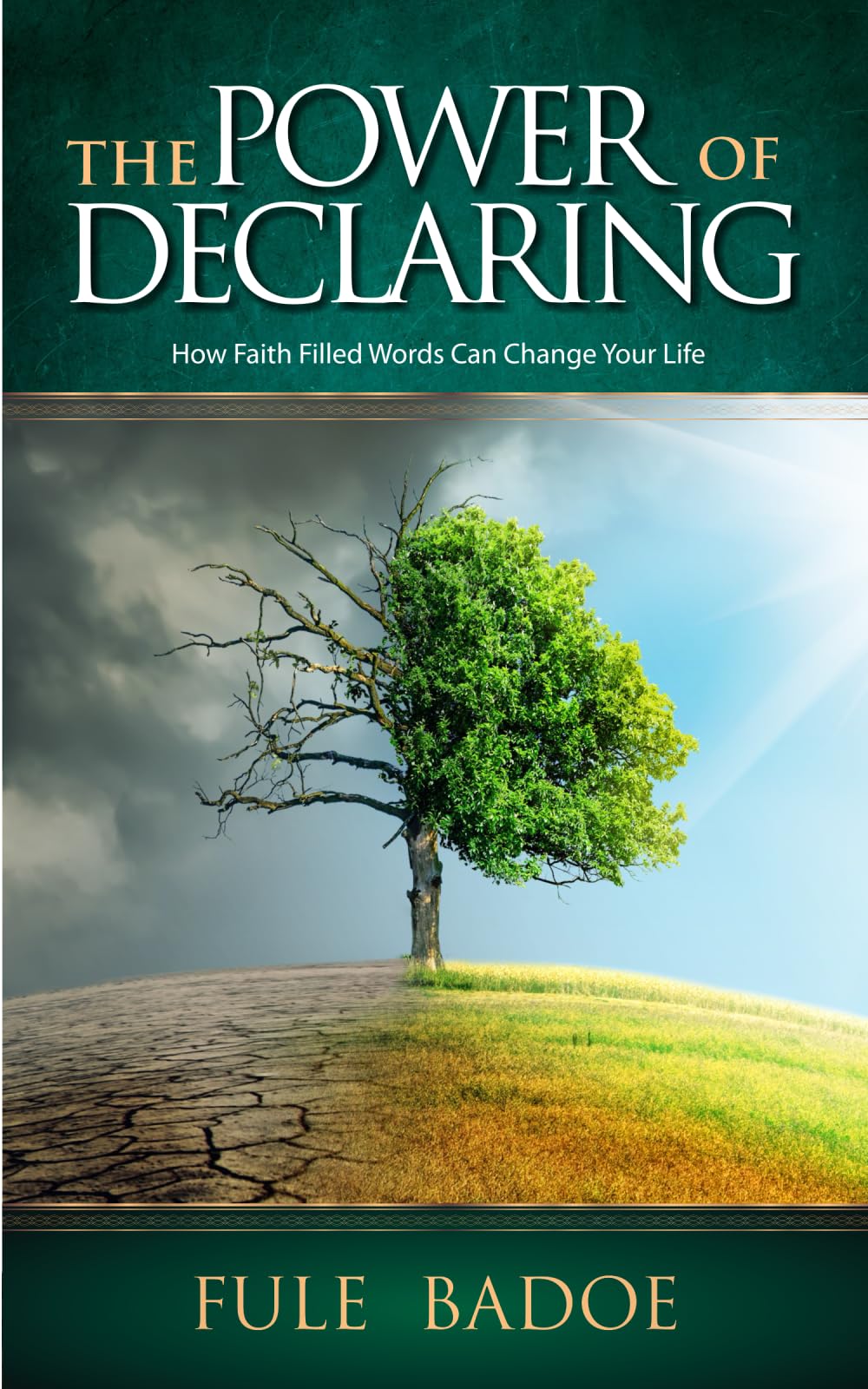 The Power of Declaring: How faith filled words can change your life