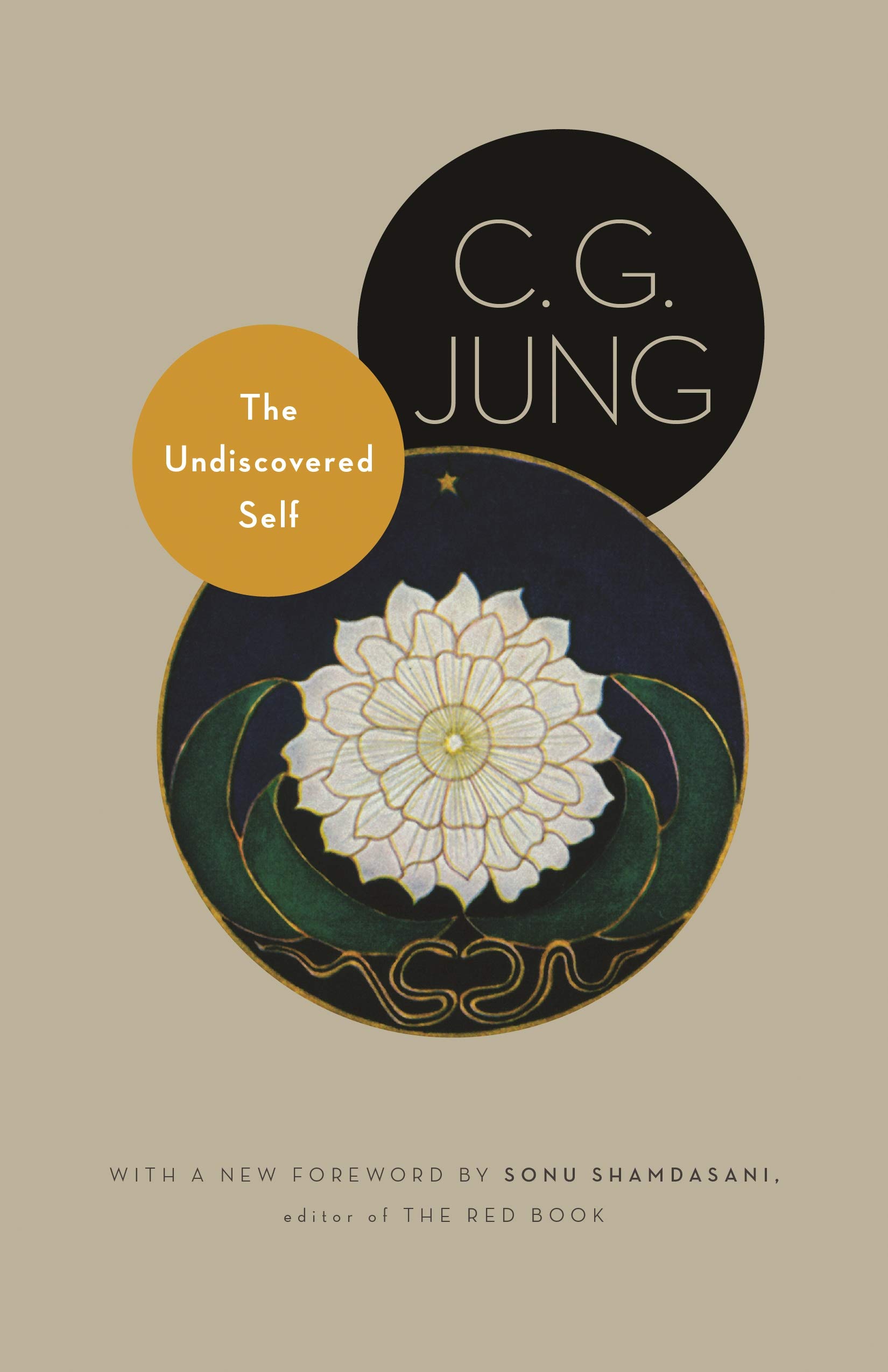 The Undiscovered Self: With Symbols and the Interpretation of Dreams (Jung Extracts Book 31)
