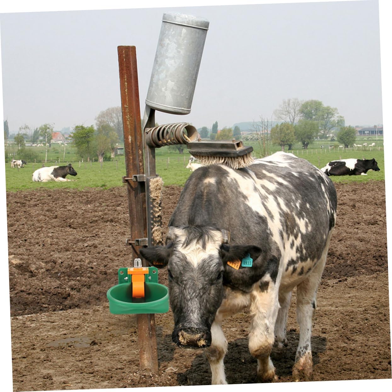 Toyvian 2pcs Save Water Plastic Livestock Fountain Automatic Animal Drinking Bowl Cattle Sheep Waterer Weatherproof Spillproof