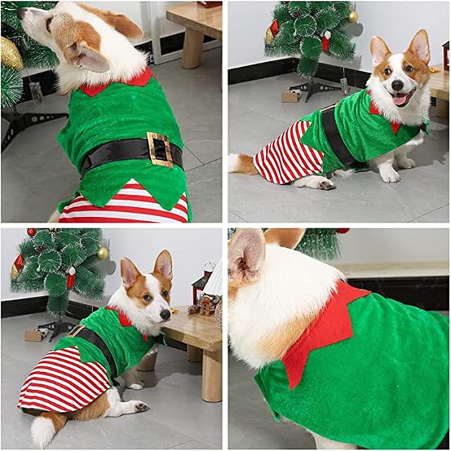 Foto 5 de 8 de Disfraz Rojo Y Verde Elfo Festivo para Perros Pequeños A Grandes Navidad Ropa Mascotas Accesorios Fotos…