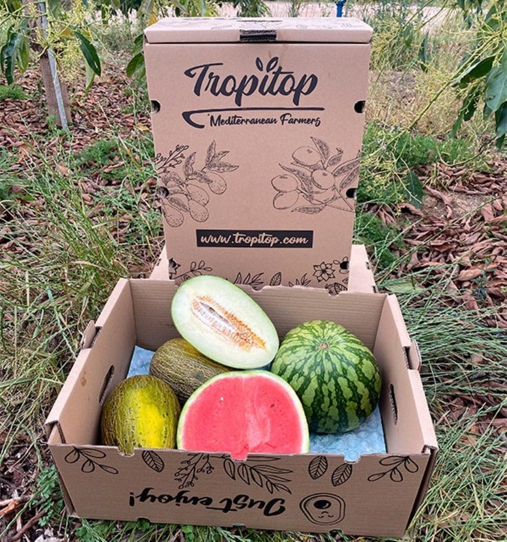 Caja 1 sandía rayada y 2 melones piel de sapo | Comprar sandía rayada 6kg y melones piel de sapo 2,70kg cada pieza. Fruta directa del agricultor de Castellón (España)