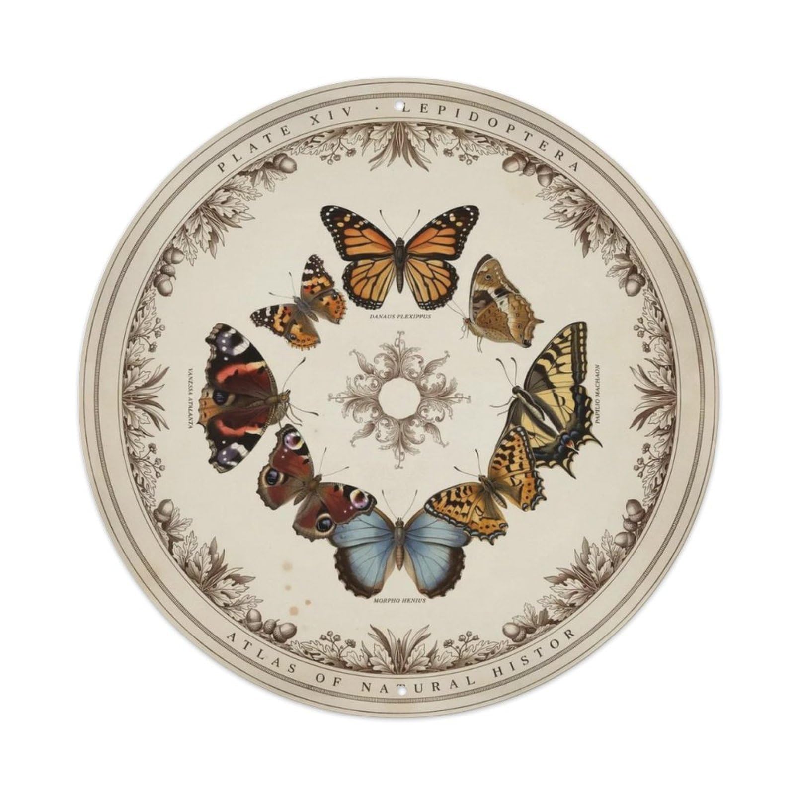 Retro Butterfly Collection Metal Tin Sign Plaque