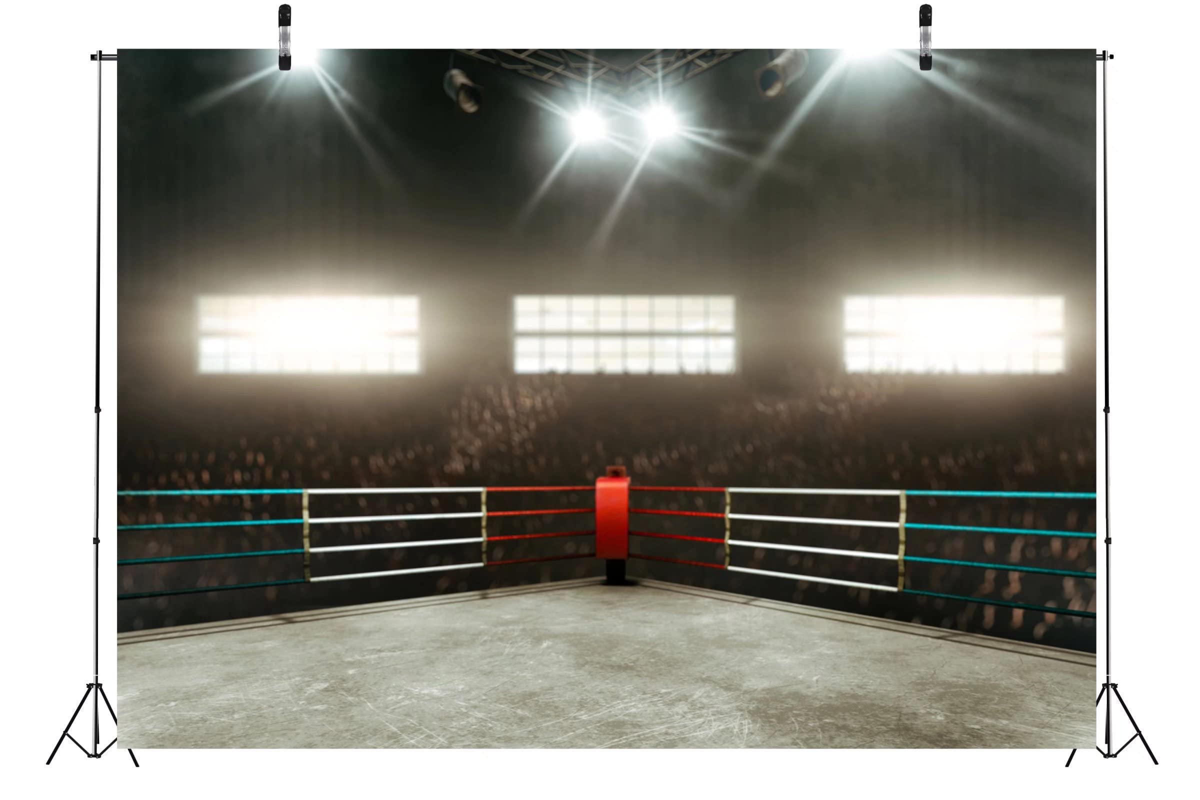 Wwe Wrestling Ring Background