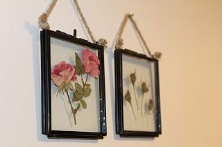 Pressed Dried Roses | Framed Pressed Rose | Flower Wall Prints | Dried Flower Display | Preserved Flower Arrangements | Pressed Flower
