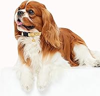 Vista 5 de Collar de perro de algodón hecho a mano para perros pequeños, medianos y grandes, margarita amarilla con colgante, lindos collares de perro (M)