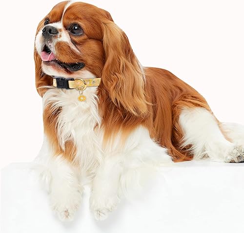 Miniatura 5 de Collar de perro de algodón hecho a mano para perros pequeños, medianos y grandes, margarita amarilla con colgante, lindos collares de perro (M)
