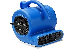B-Air VP-25 1/4 HP 900 CFM Mighty Air Mover, a Blow Job...