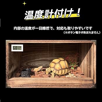 Amazon | Takimi 爬虫類 ケージ リクガメ ケース 天然桐材＋アクリル