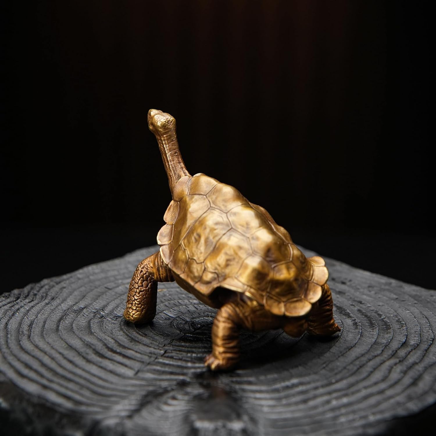 BOWUZHI Studio ‌Galapagos Giant Tortoise Model (Gold)