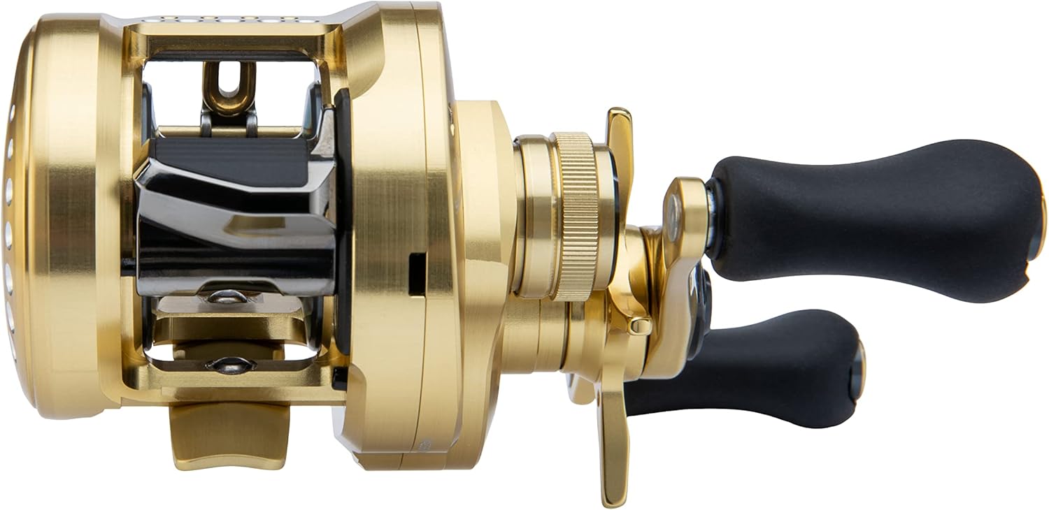 Shimano Calcutta Conquest 100-200 A Round Reels (CTCNQ201A) Fishing