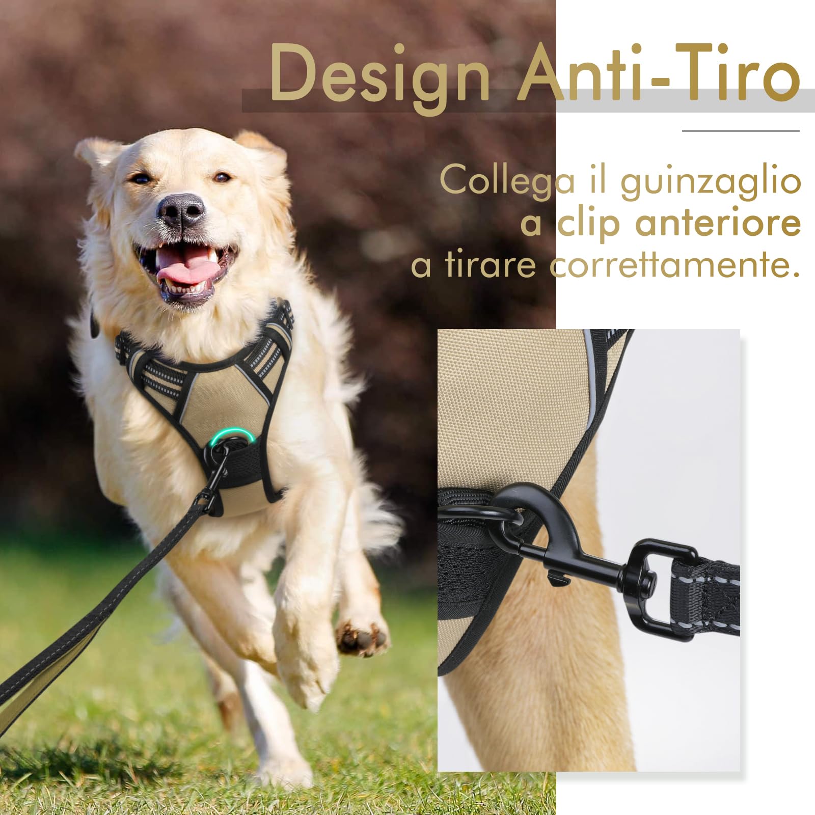 rabbitgoo Pettorina Cane Taglia Piccola, Pettorina Cane ad h Regolabile con 2 Ganci in Metallo, Imbracatura per Cani Anti Tiro Riflettente, Imbracatura Traspirante per Addestramento, Cachi, S