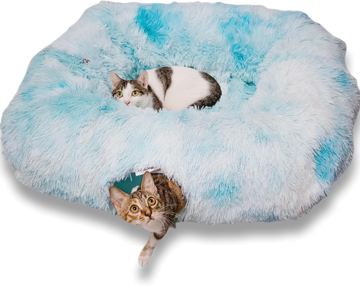 XxingSheep XL Cat Tunnel with Bed for Indoor Cats Peekaboo