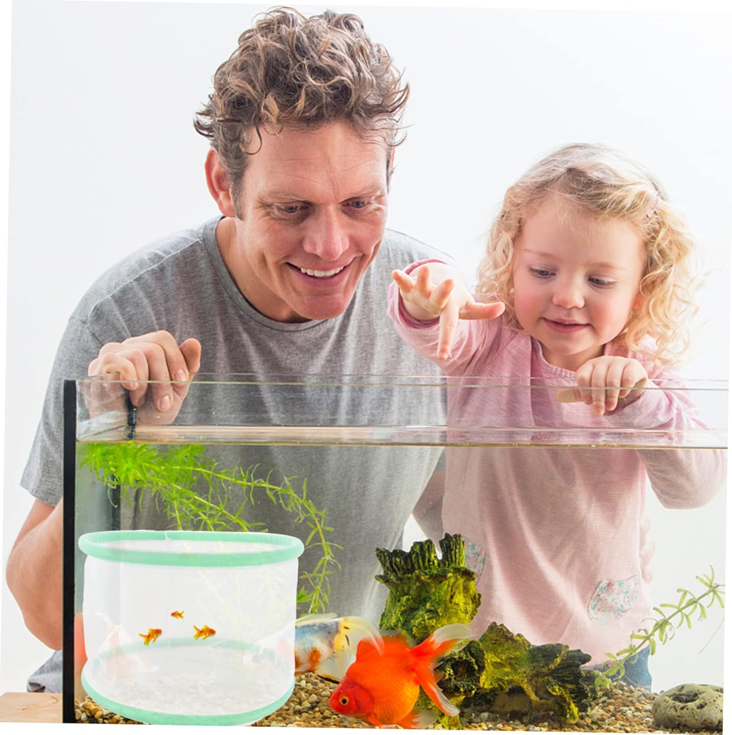 4pcs Fish Hatchery Net for Aquarium Breeding Tank Large Aperture Convenient and Practical Hatching Net for Fish Breeding Random Easy to Install