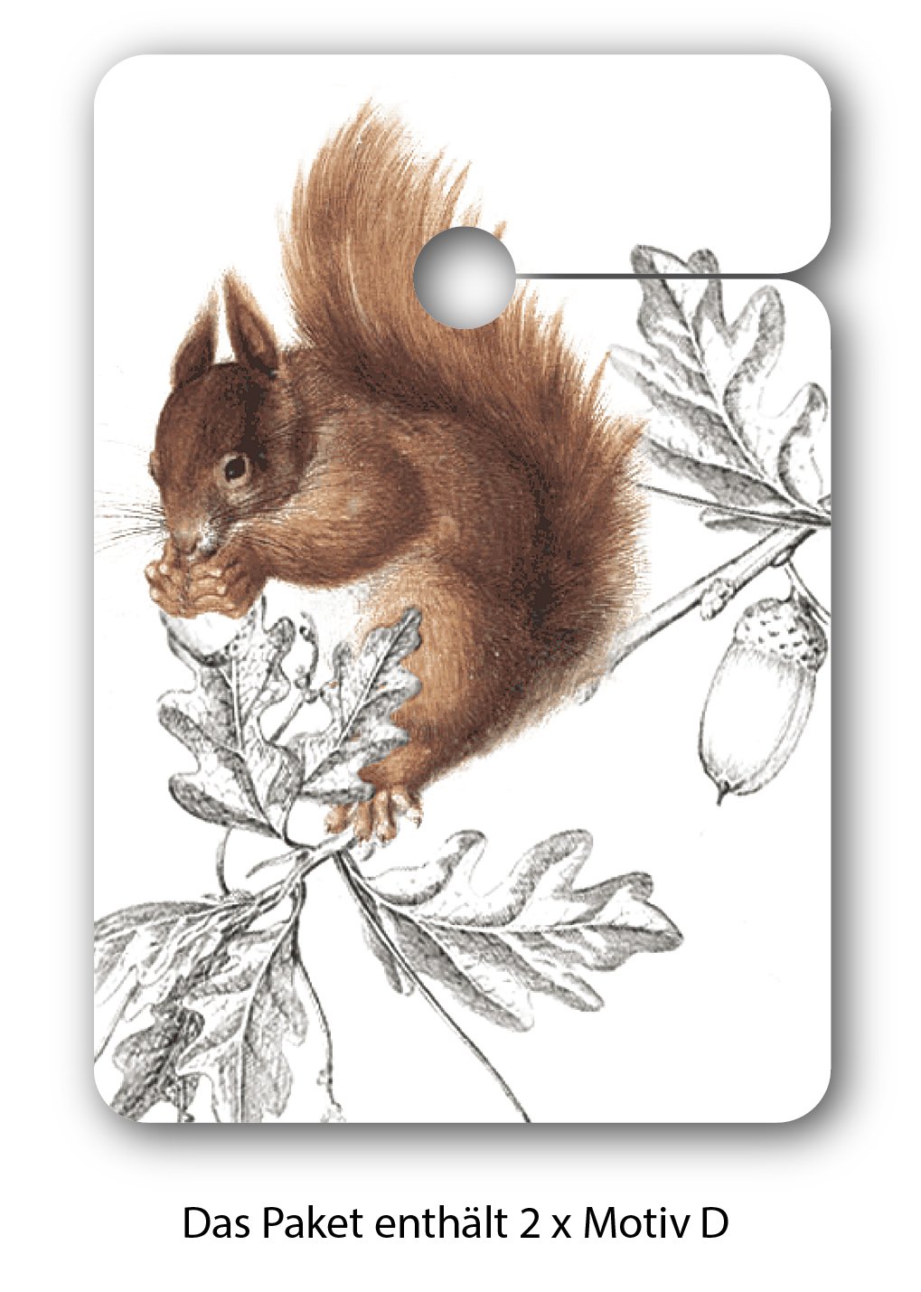 Elegante Dankes Geschenk Anhänger | Papieranhänger | Geschenk Karten (64Stk) mit Eichhörnchen und Hirsch: Vielen Dank