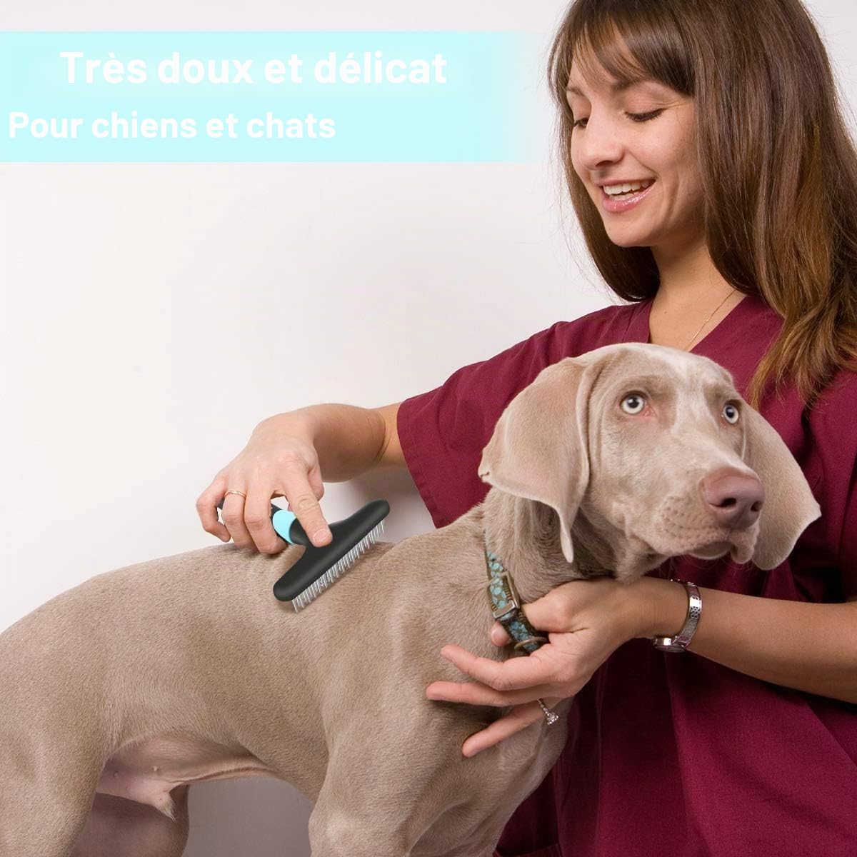 Râteau à sous-poils pour chien, brosses pour perte de poils, peigne pour enlever les poils courts ou longs, peigne de toilettage pour animaux de compagnie, double rangée d'épingles en acier