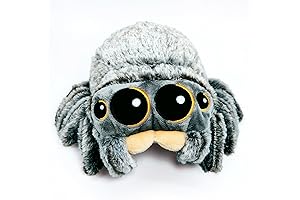 Spider Plush: The Six-Legged Friend