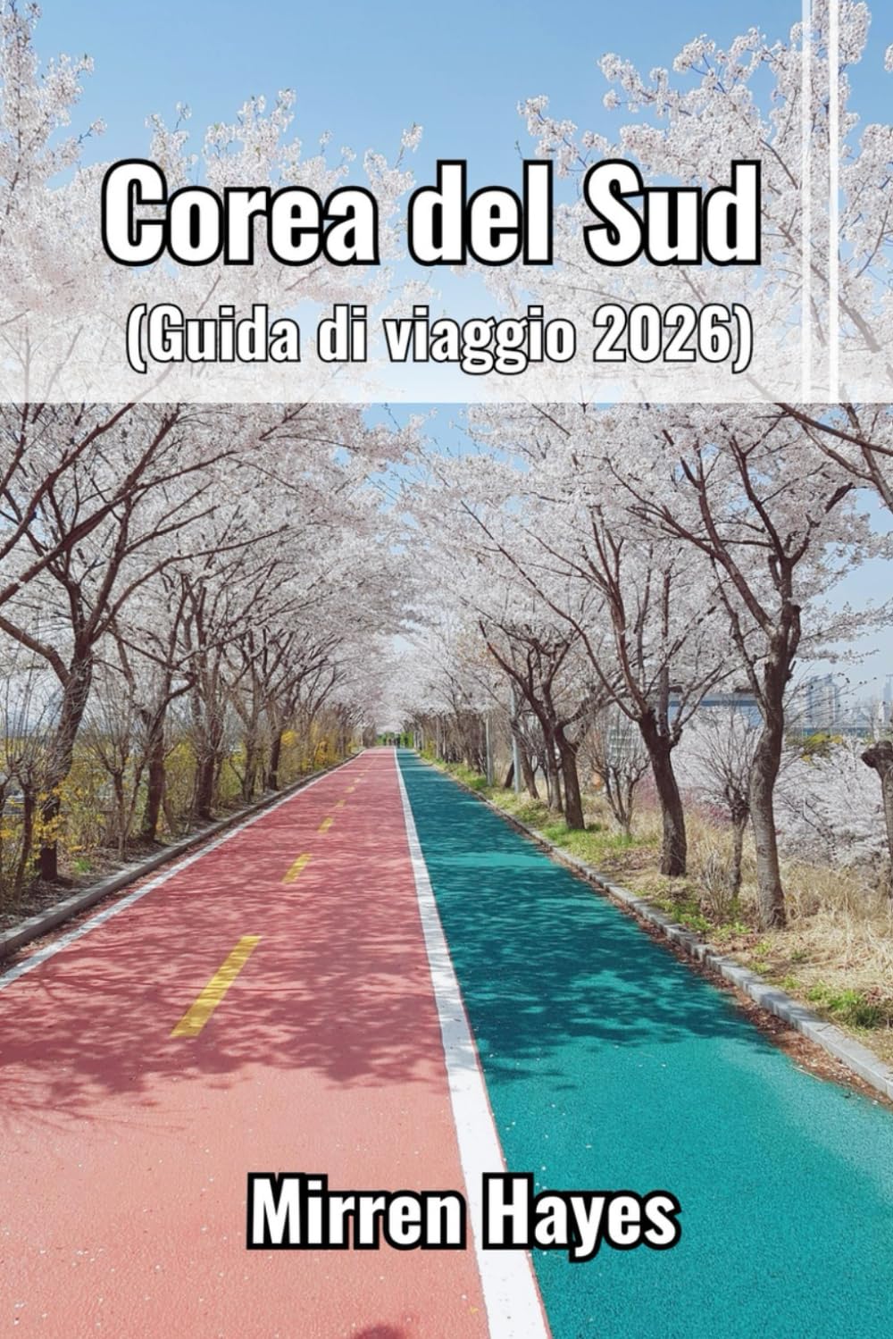 Corea del Sud Guida di Viaggio 2026