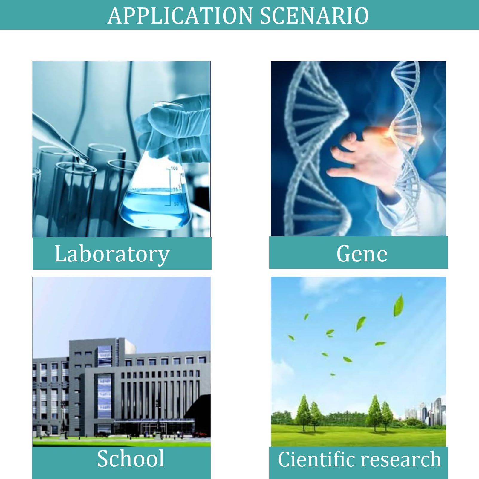 Sprzęt laboratoryjny Laboratoryjna łaźnia wodna Stała temperatura Wyświetlacz cyfrowy Podgrzewacz Sprzęt laboratoryjny Termostat Zbiornik,1Hole