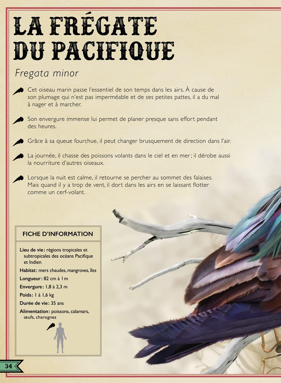 Le Livre extraordinaire des oiseaux spectaculaires