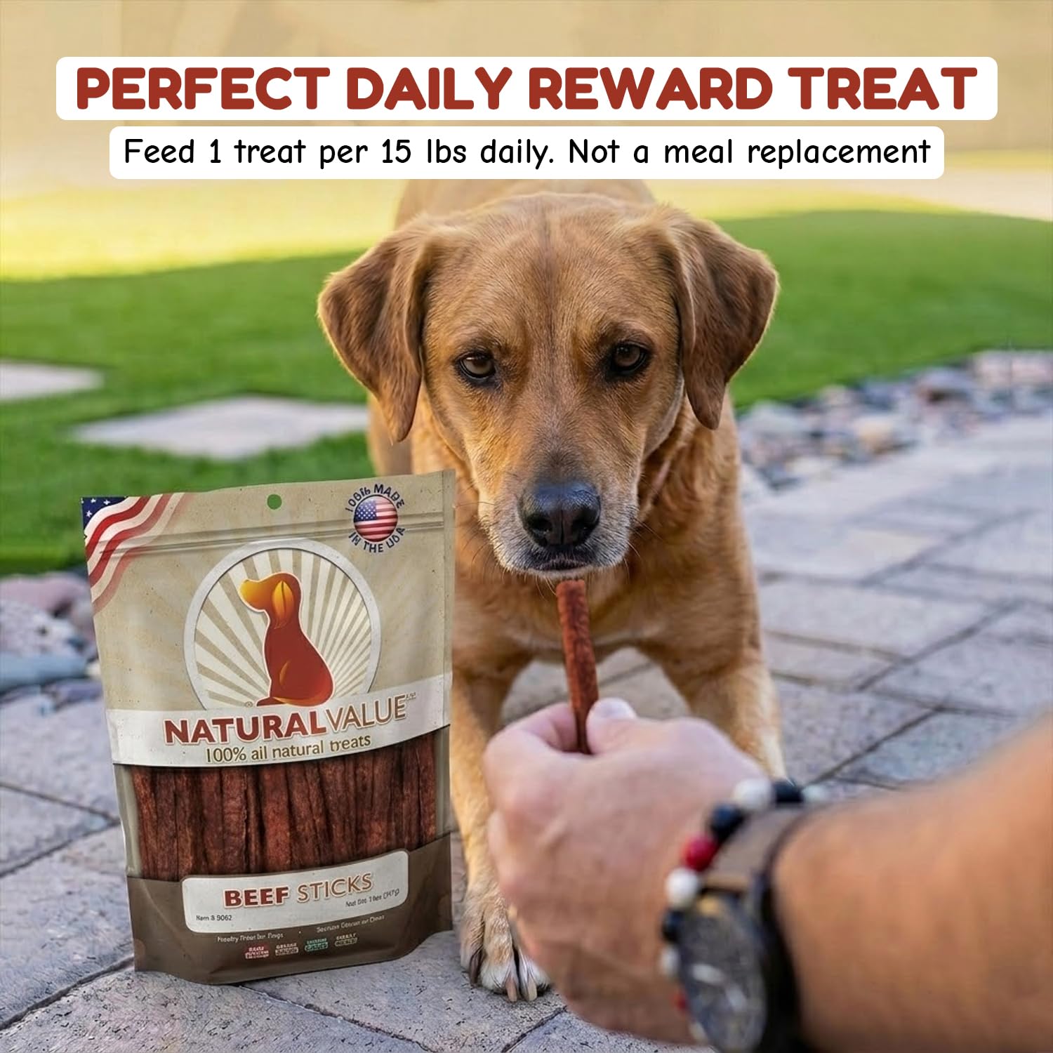 LOVING PETS Natural Value Treats 14oz-Beef Sticks