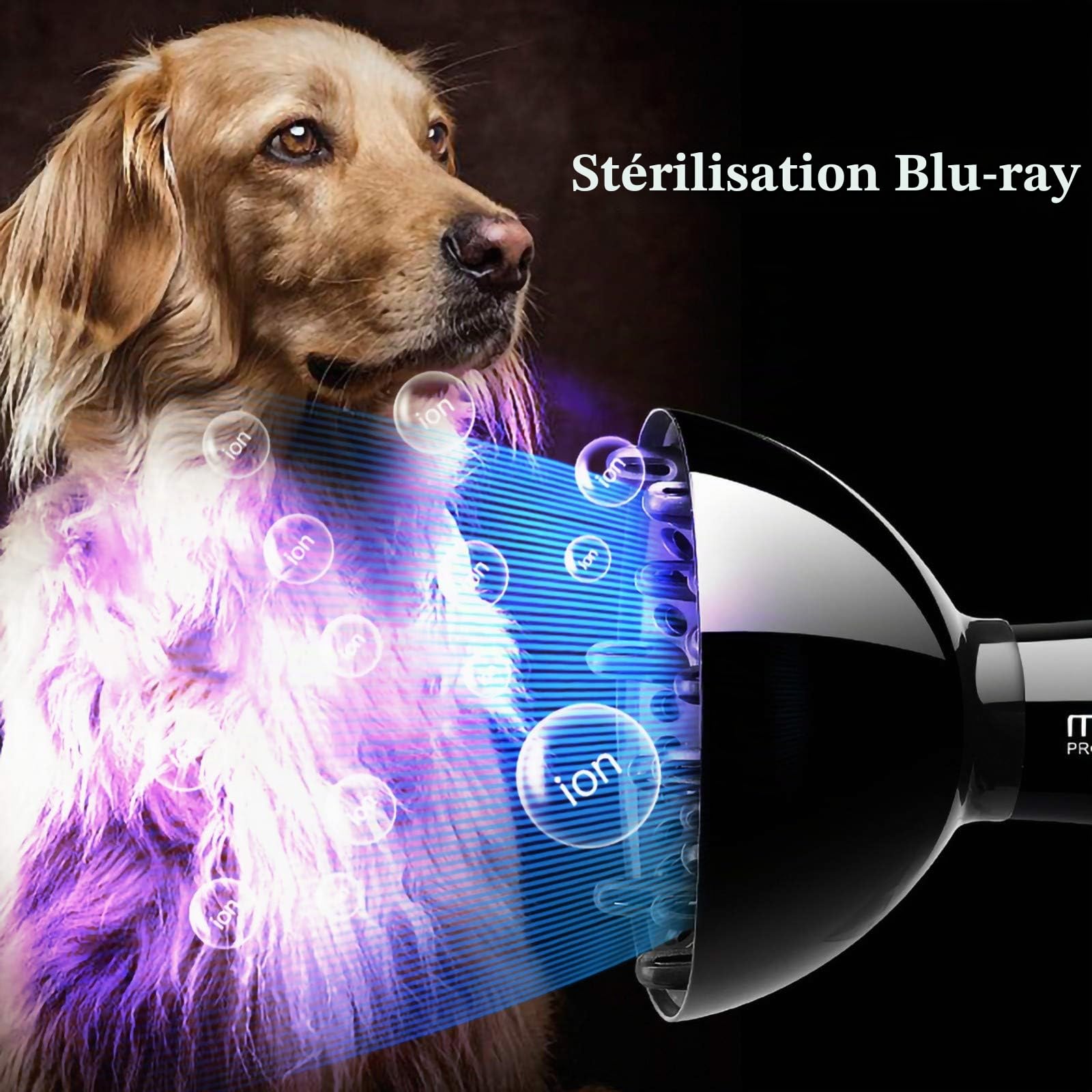 Chien Dog Sechoir Sèche-Cheveux, Professionnel Sèche-Poils pour Chien, Réglable Vitesse du Vent et Plage de Température, sourdine, Lumière Bleue Stérilisation