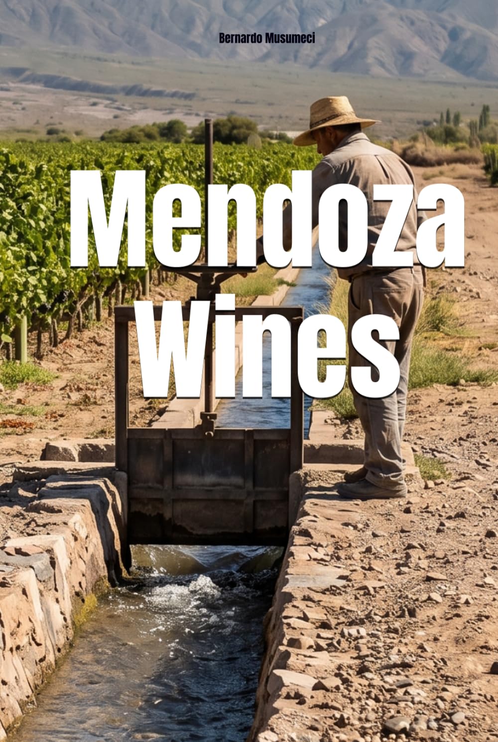 Mendoza Wines (Wines of the World: Argentina)
