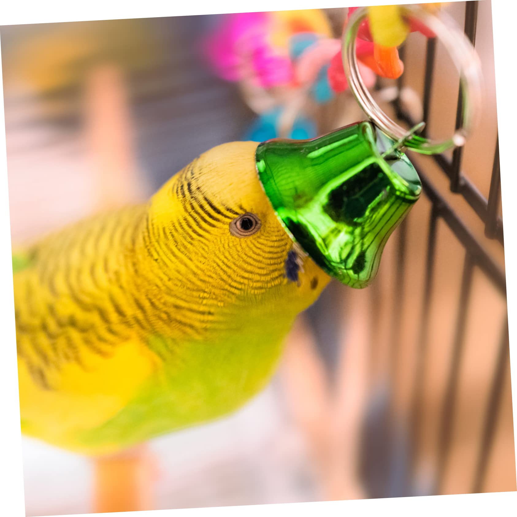 Glocke, Wanddekoration for Aufhängen, 50 Stück, Vogelglockenspielzeug, Tierspielzeug, Kauspielzeug, Nymphensittichspielzeug for Vogelkäfigglocken, Vogelspielzeug, Vogelglocken for Käfig, Vakuumspielze