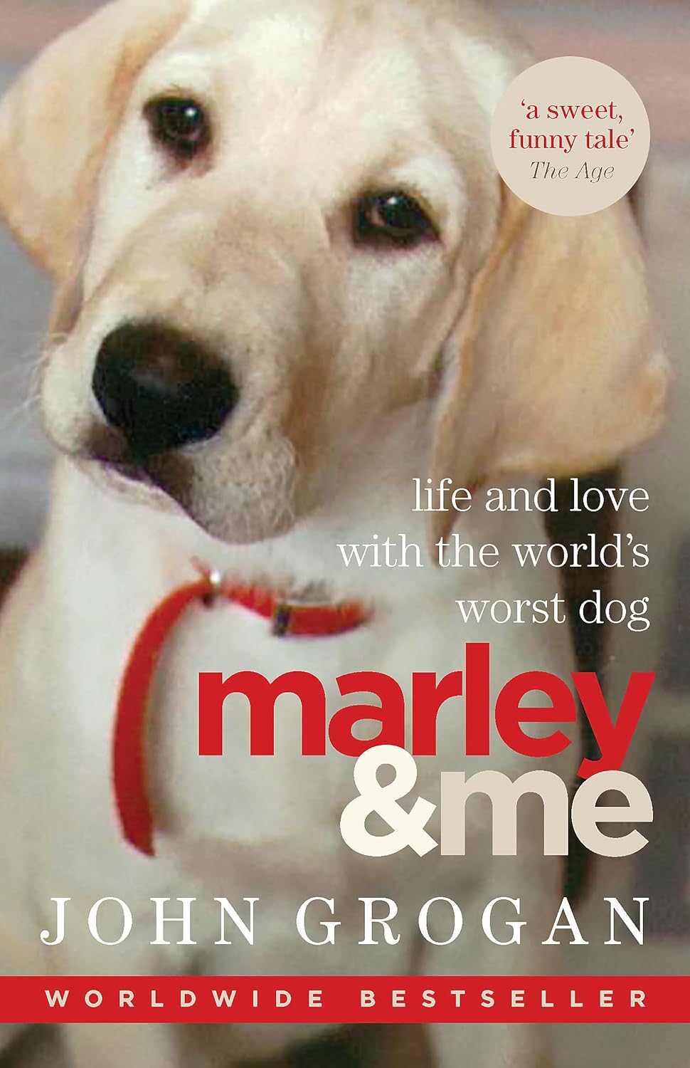 Amazon.co.jp: MARLEY & ME : 本