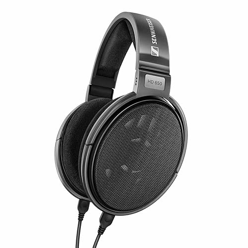 Sennheiser HD 650 - Hi-Res Open Back Dynamic Headphone, Titan - HD 650
