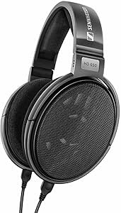 Sennheiser Consumer Audio HD 650 - Audiophile Hi-Res Open Back Dynamic Headphone, Titan