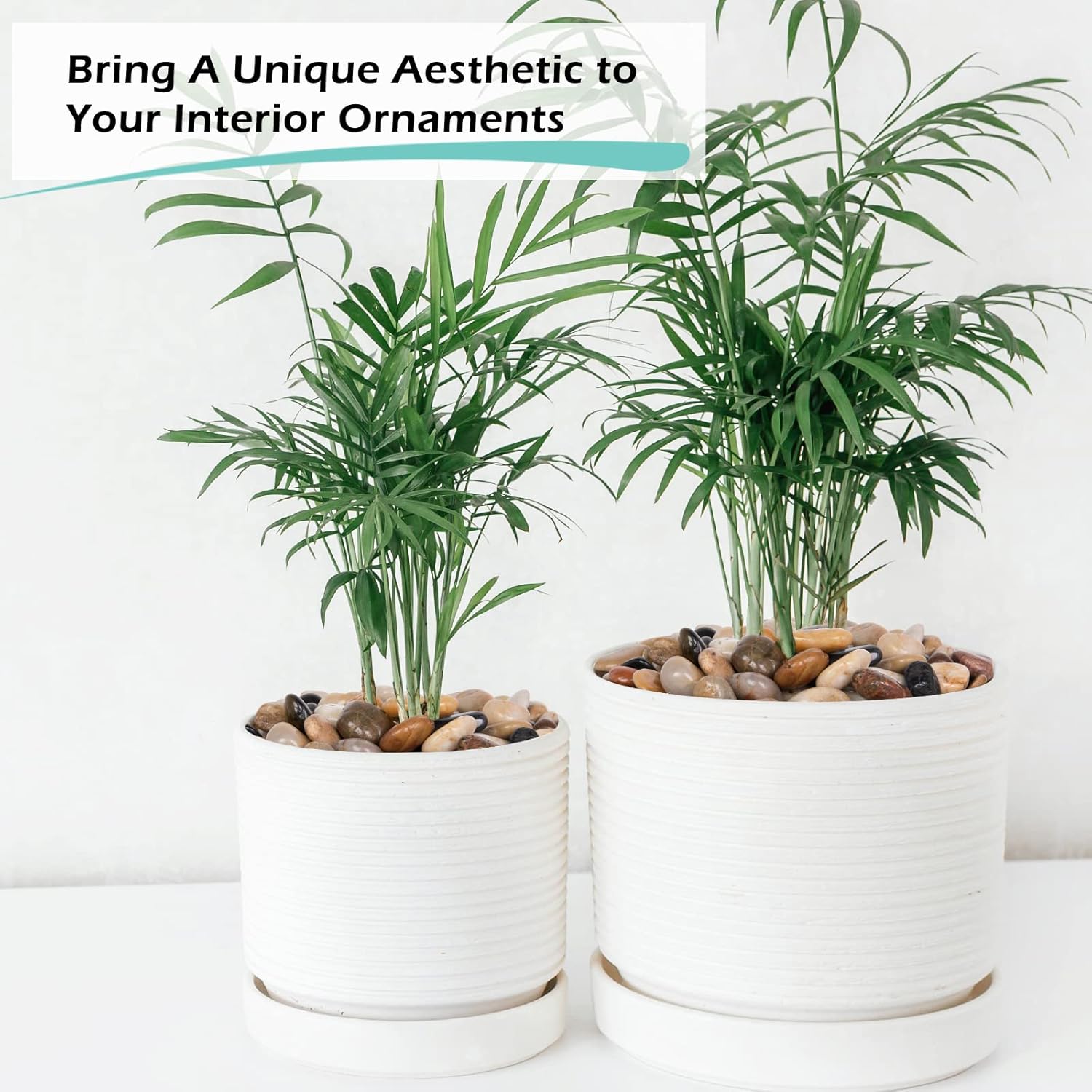 GASPRO 5 Pound Jade Pebbles and 8 Pound River Rocks for Plants, Natural Decorative Rocks for Garden, Landscaping, Succulents, Highly Polished and Smooth Surface